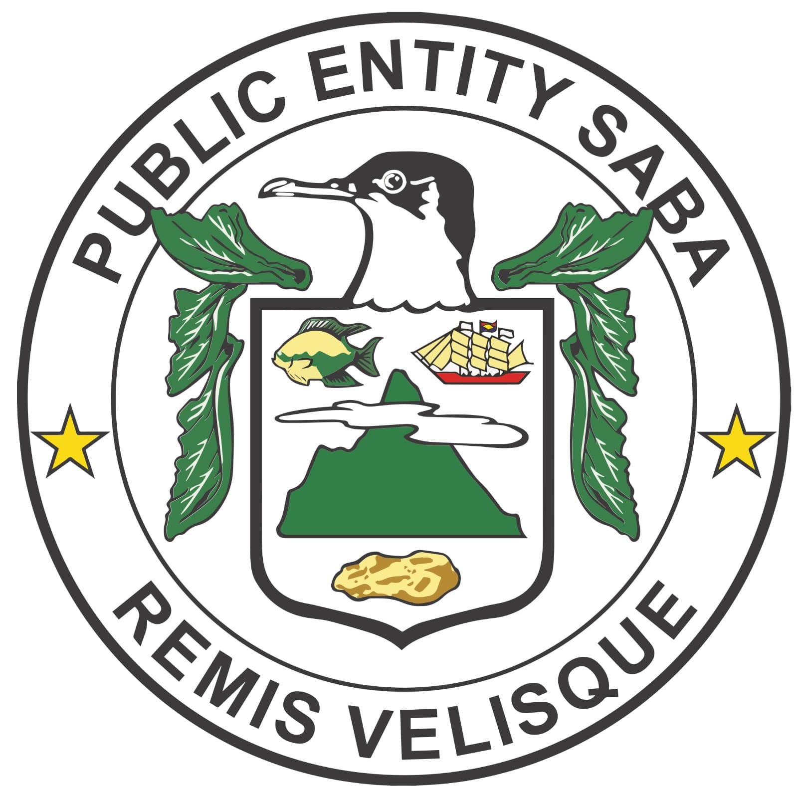 Public Entity Saba